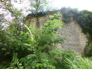 Villa in Vendita a Monte Roberto, zona Pianello Vallesina, 63'000€, 150 m²