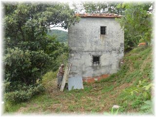 Rustico in Vendita a Sarzana, 80'000€, 2000 m²