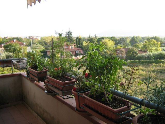 Quadrilocale in Vendita a Sarzana, 175'000&euro;, 75 m², con Box