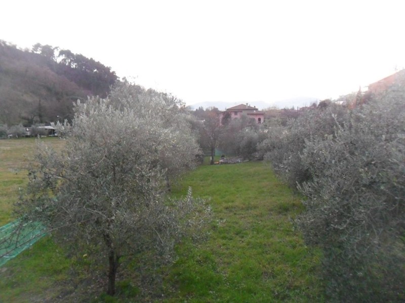 Terreno edificabile in Vendita a Luni, 190'000€, 