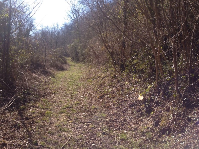 Terreno agricolo in Vendita a Fosdinovo, 18'000€, 