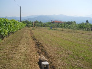 Terreno edificabile in Vendita a Sarzana, 25'000€, 