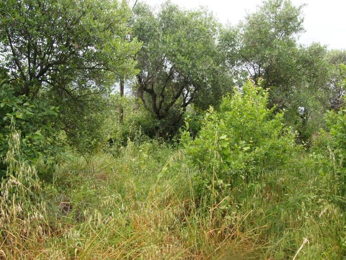 Terreno edificabile in Vendita a Arcola, 20'000€, 1100 m²