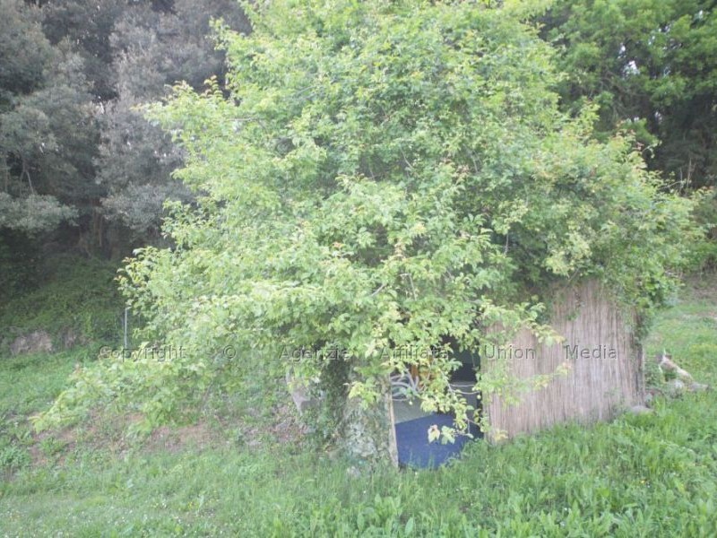 Rustico in Vendita a Arcola, 50'000€, 45 m²