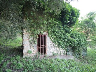 Rustico in Vendita a Arcola, 50'000€, 45 m²