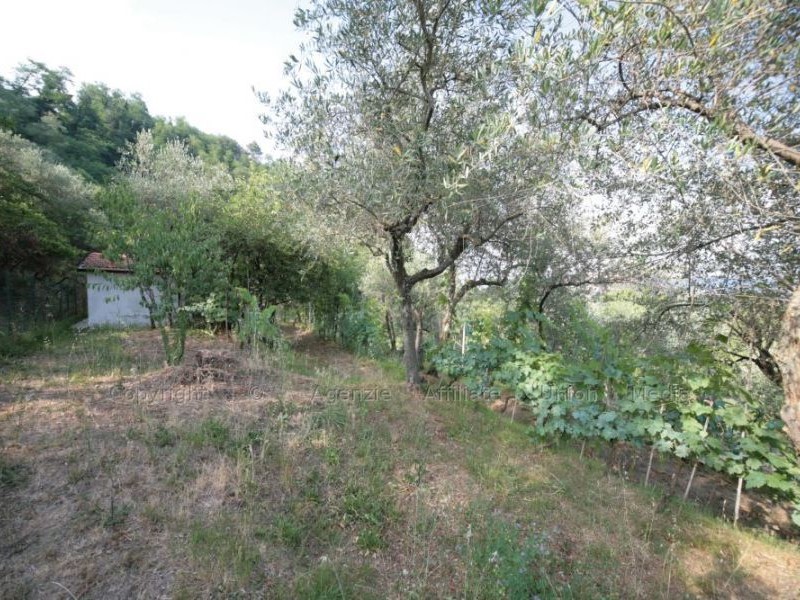 Terreno edificabile in Vendita a Vezzano Ligure, 50'000€, 