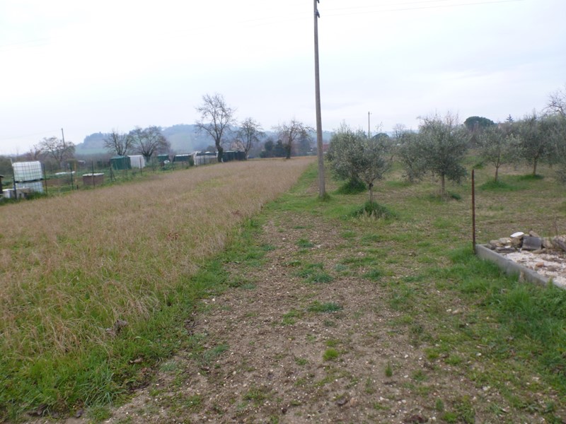 Terreno agricolo in Vendita a Jesi, 1145 m²