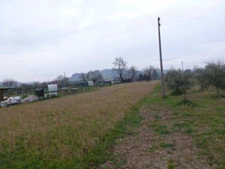 Terreno agricolo in Vendita a Jesi, 1145 m²