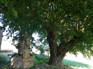 Casa Indipendente in Vendita a Jesi, 200'000€, 600 m²