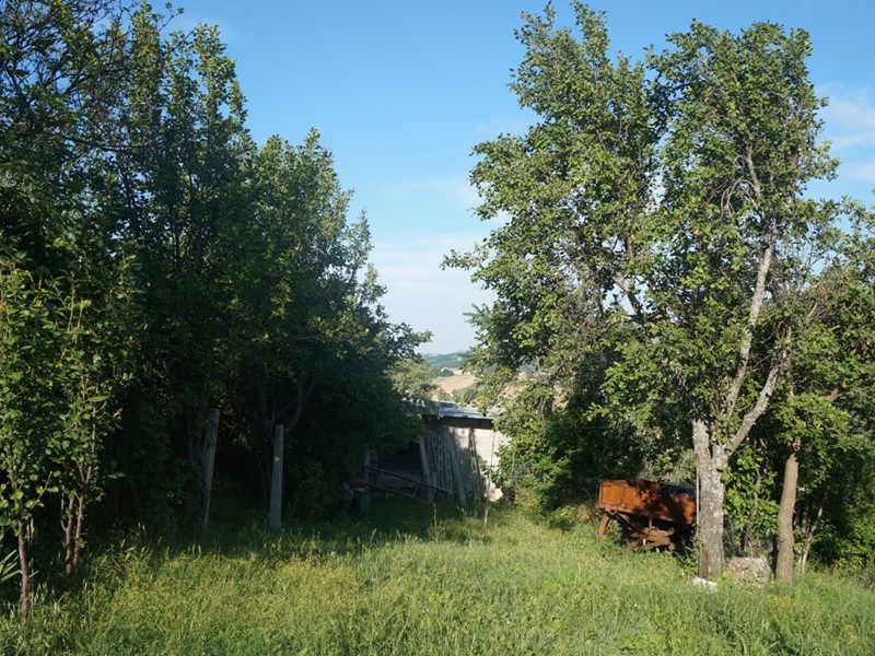 Casa Indipendente in Vendita a Arcevia, 20'000€, 35 m²