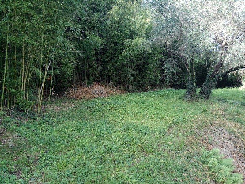 Terreno agricolo in Vendita a Vezzano Ligure, 26'000€, 2600 m²