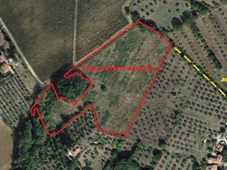 Terreno agricolo in Vendita a Pontassieve, 65'000€, 30000 m²