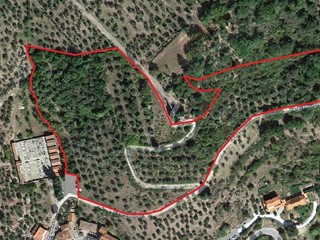 Terreno agricolo in Vendita a Pelago, 45'000€, 