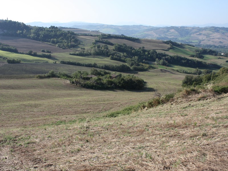 Terreno agricolo in Vendita a Pesaro, 225'000€, 190000 m²