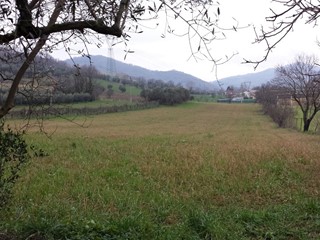 Terreno agricolo in Vendita a Montefiore Conca, zona Santa Maria Maddalena, 90'000€, 11500 m²