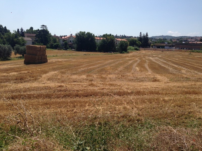 Terreno agricolo in Vendita a San Clemente, 70'000€, 14780 m²