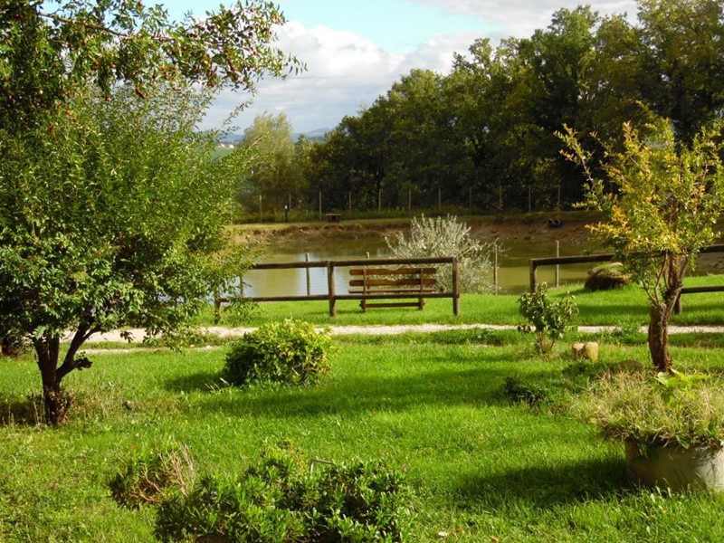 Casa Indipendente in Vendita a Tavoleto, 300 m²