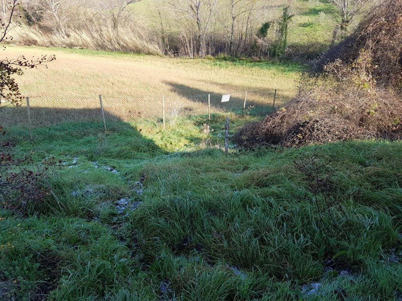 Terreno agricolo in Vendita a Saludecio, zona Santa Maria Del Monte, 23'000€, 5000 m²