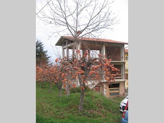 Villetta a schiera in Vendita a San Martino sulla Marrucina, zona periferia, 70'000€, 200 m², con Box