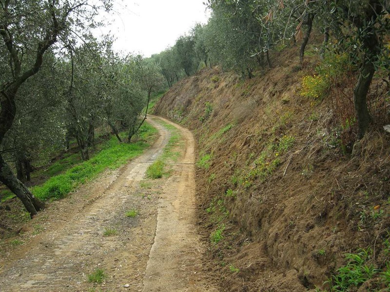 Terreno agricolo in Vendita a Massarosa, zona Polla del Morto, 20'000€, 2700 m²