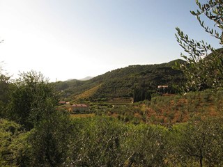 Terreno agricolo in Vendita a Massarosa, zona Quiesa, 3'000€, 580 m²
