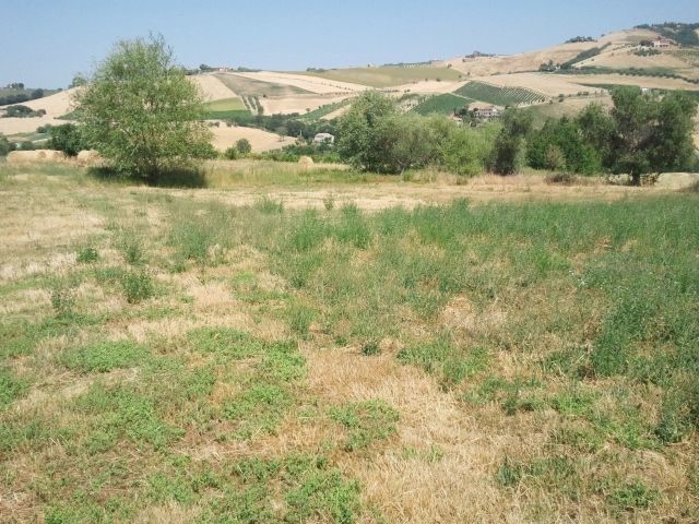 Casa Indipendente in Vendita a Offida, 280'000€, 300 m²