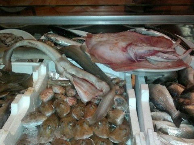 Attività commerciale in Vendita a San Benedetto del Tronto, zona Porto D'ascoli, 200'000€, 240 m², arredato