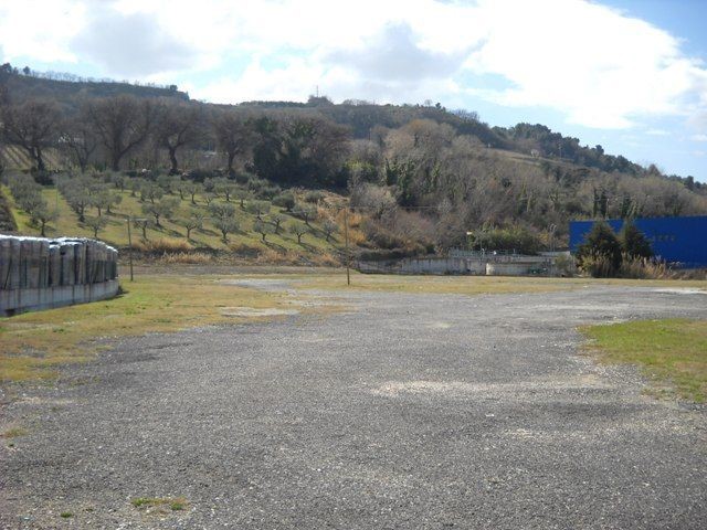Terreno agricolo in Affitto a Grottammare, 3'000€, 10000 m²