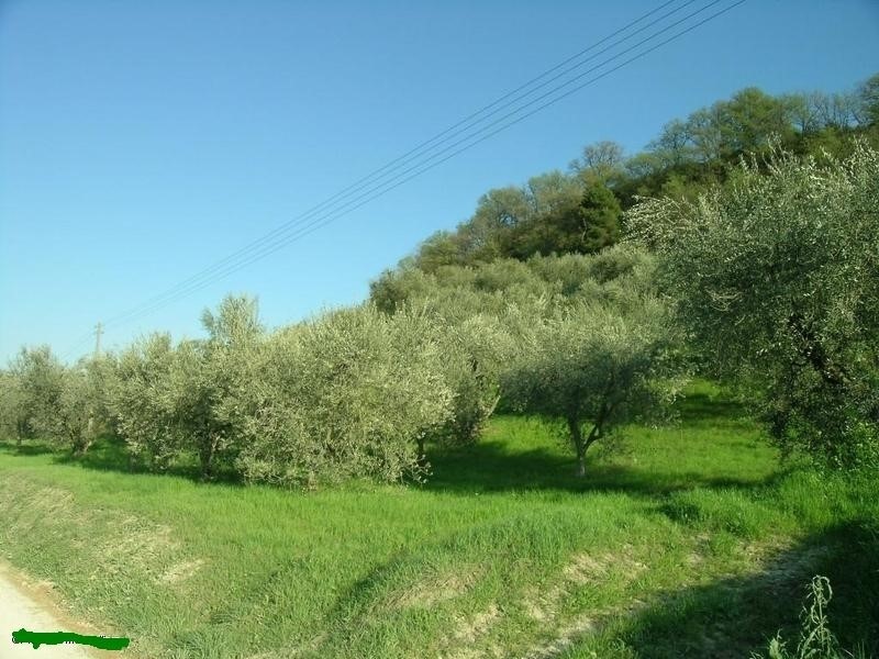 Casa Indipendente in Vendita a Campofilone, 280'000€, 400 m², con Box