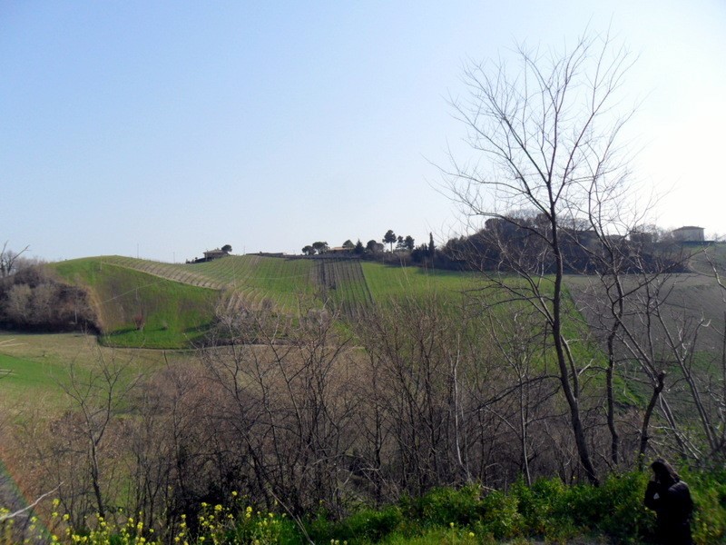 Casa Indipendente in Vendita a Ripatransone, 100'000€, 215 m²