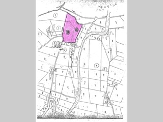 Terreno agricolo in Vendita a Monsampolo del Tronto, 19'500€, 8379 m²