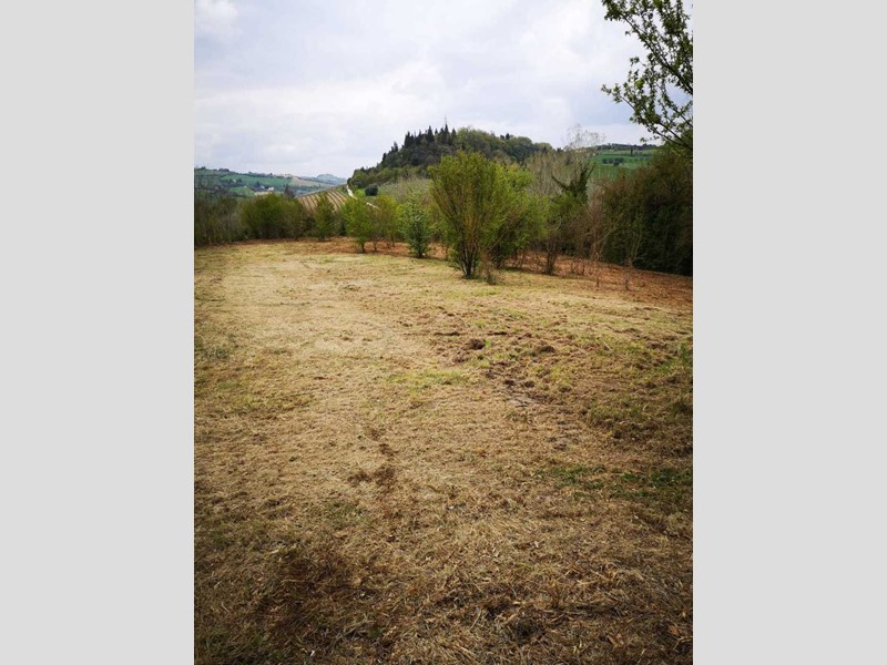 Terreno agricolo in Vendita a Monsampolo del Tronto, 19'500€, 8379 m²