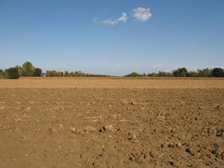 Terreno agricolo in Vendita a Falconara Marittima, 1'800'000€, 350000 m²