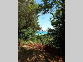 Casa Indipendente in Vendita a Cupra Marittima, 210'000€, 210 m²