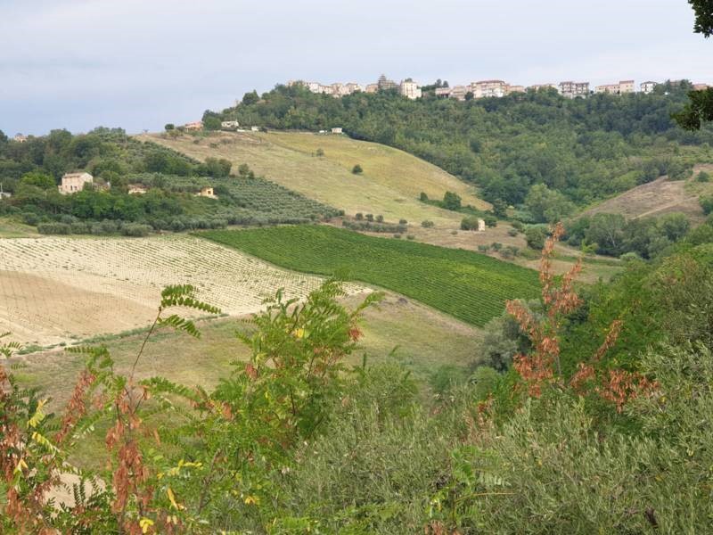 Terreno agricolo in Vendita a Carassai, 160'000€, 70000 m²