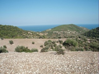 Casa Indipendente in Vendita a Mattinata, 800'000€, 740000 m²