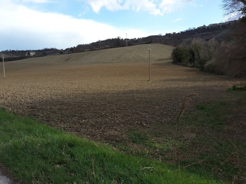 Terreno agricolo in Vendita a Carassai, 245'000€, 120000 m²