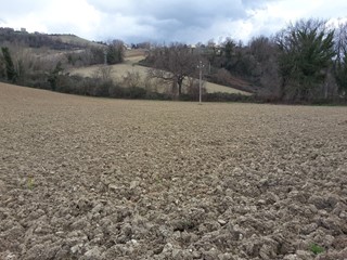 Terreno agricolo in Vendita a Carassai, 245'000€, 120000 m²