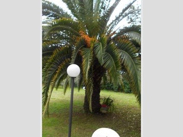 Immobile commerciale in Vendita a Carrara, 1'000'000€, 300 m², con Box