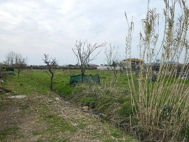 Terreno agricolo in Vendita a Carrara, 50'000€, 1500 m²