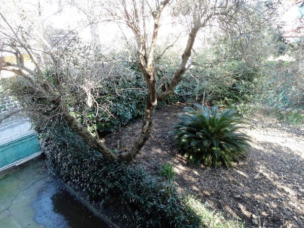 Casa Indipendente in Vendita a Sarzana, 360'000&euro;, 104 m²