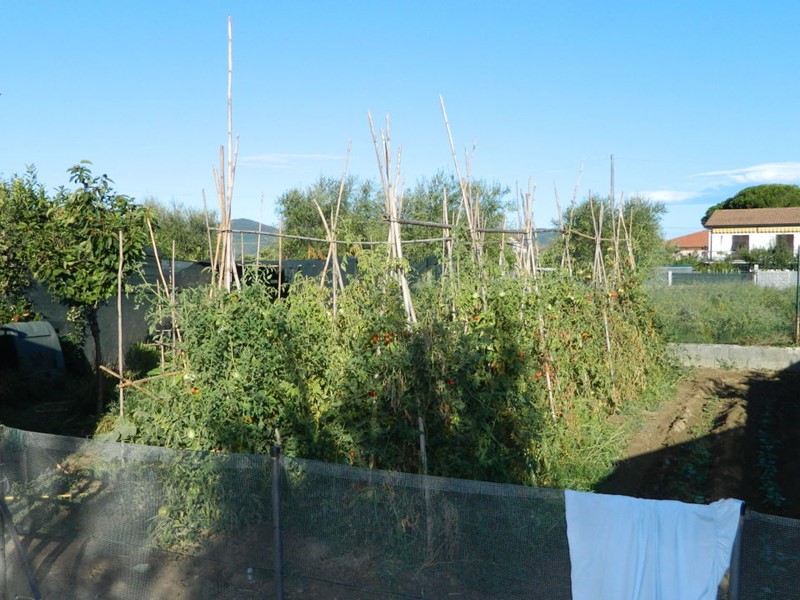 Casa Semi Indipendente in Vendita a Luni, 330'000€, 150 m²