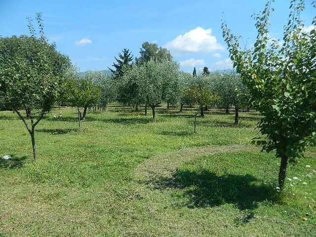 Terreno edificabile in Vendita a Castelnuovo Magra, 420'000€, 10000 m²