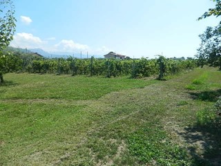 Terreno edificabile in Vendita a Castelnuovo Magra, 420'000€, 10000 m²