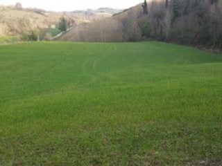 Terreno agricolo in Vendita a Mondavio, 360'000€, 230000 m²