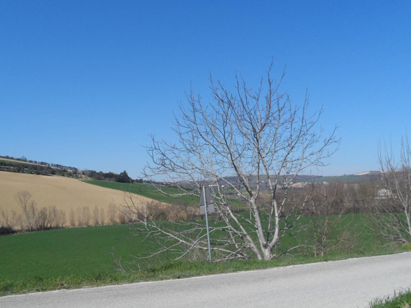 Terreno agricolo in Vendita a Fermo, 350'000€, 118185 m²