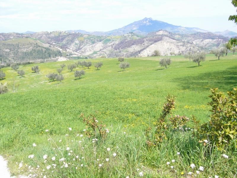 Terreno agricolo in Vendita a Ascoli Piceno, zona Rosara, 39'000€, 7000 m²