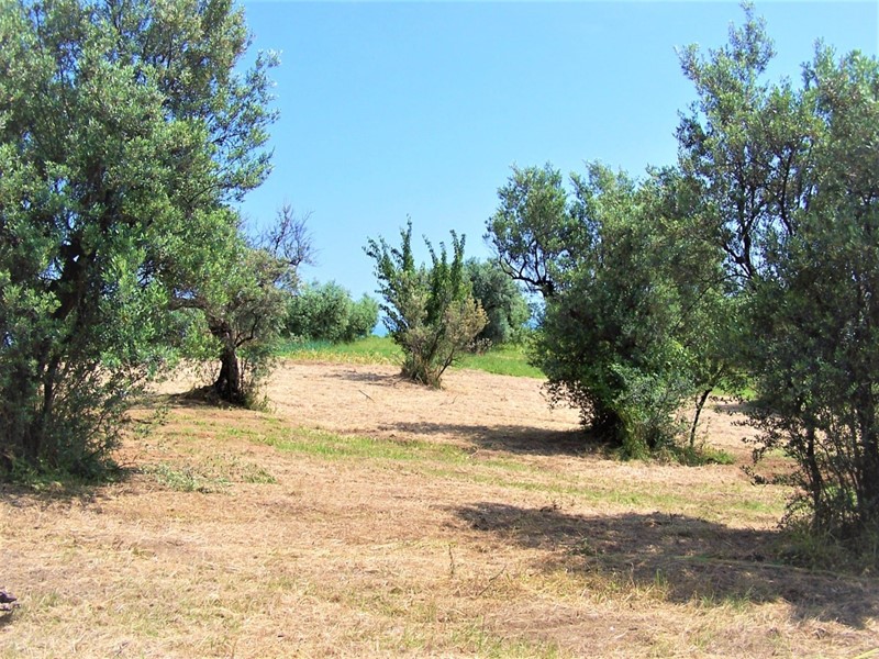 Terreno industriale in Vendita a Treglio, 65'000€, 1588 m²