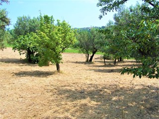 Terreno industriale in Vendita a Treglio, 65'000€, 1588 m²