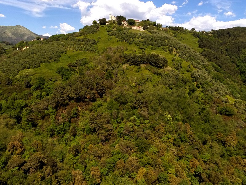 Rustico in Vendita a Lucca, zona massarosa, 95'000€, 50 m²